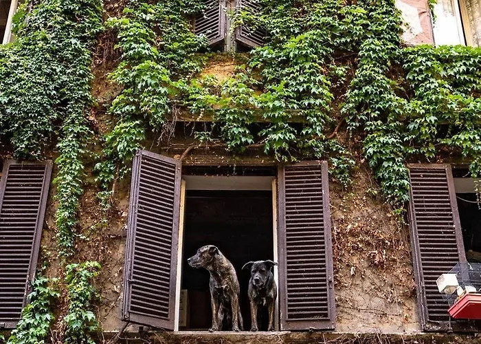 Monti Mood Design - Via Urbana Rome